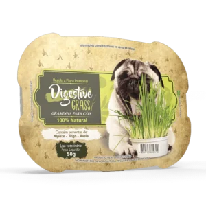 Graminha digestiva cães