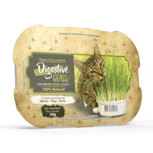 Graminha digestiva para gatos