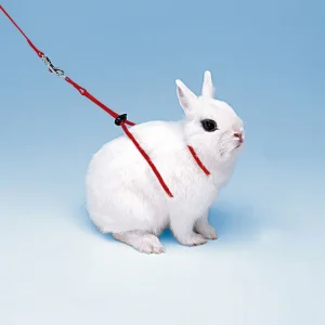 Peitoral ajustável para coelhos