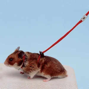 Peitoral ajustável para hamsters