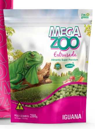 iguana